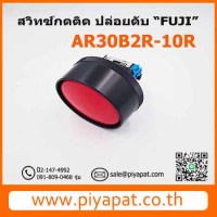 AR30B2R-10R รูปโชว์